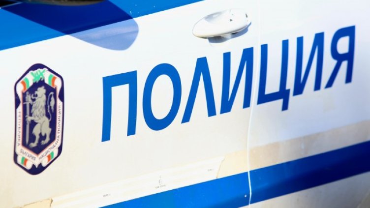 Снимка: архив, БГНЕС