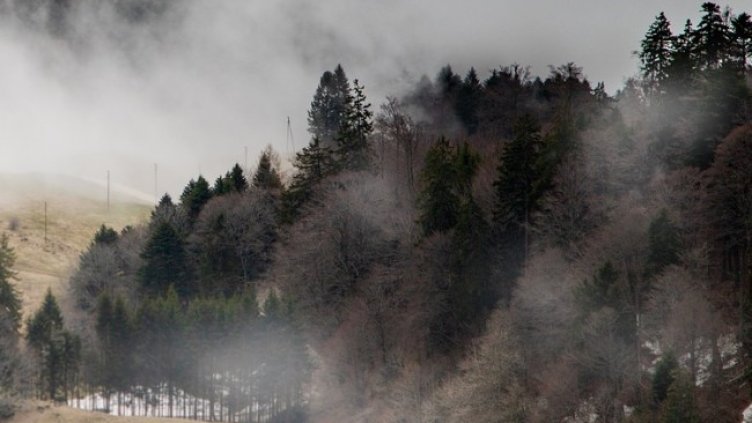 Снимка: Pixabay