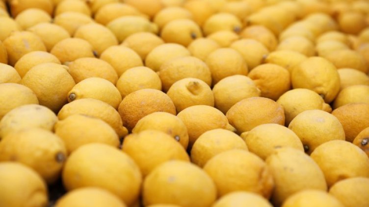 Снимка: архив, БГНЕС