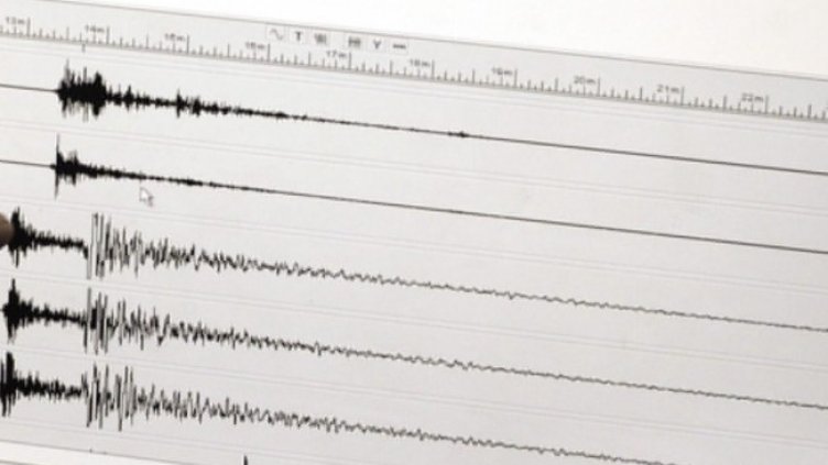 Снимка: архив, БГНЕС