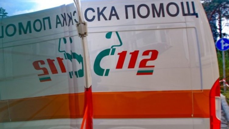 Снимка: Димитър Кьосемарлиев, Dnes.bg