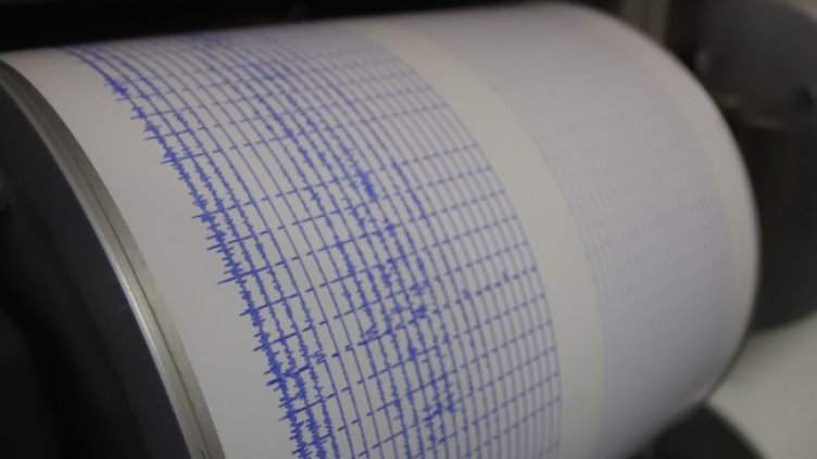 Снимка: архив, БГНЕС