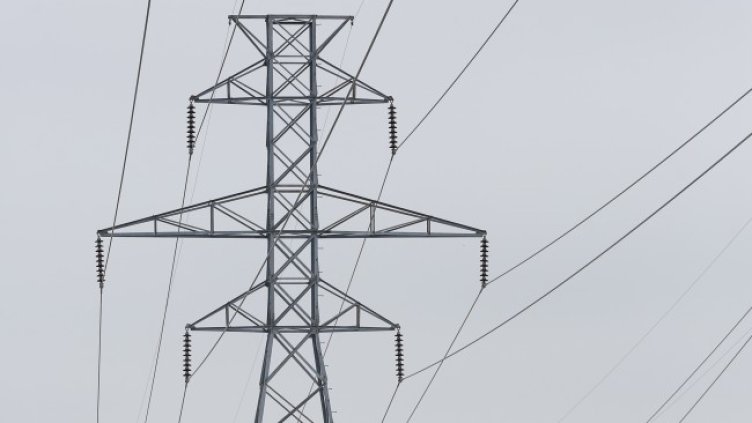 Снимка: архив, БГНЕС