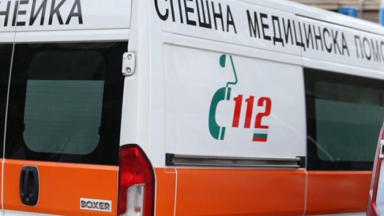 Снимка: архив, БГНЕС