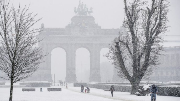 Снимка: БГНЕС