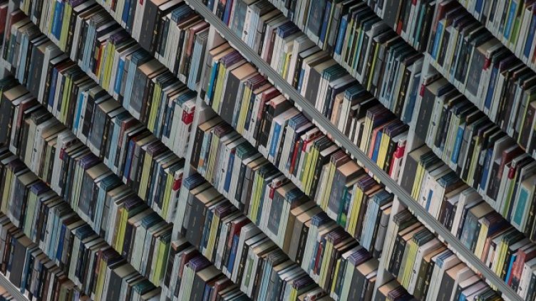 Снимка: архив, БГНЕС