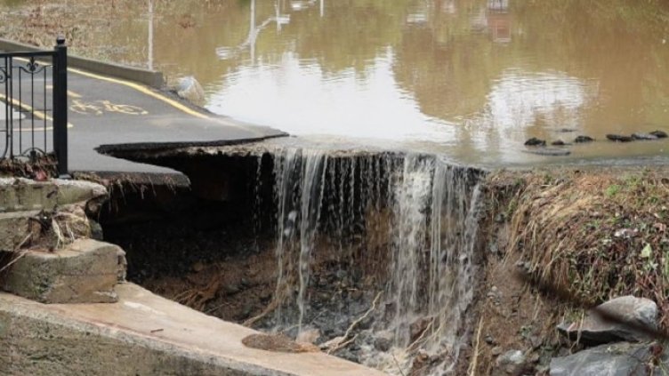 Снимка БГНЕС, архив