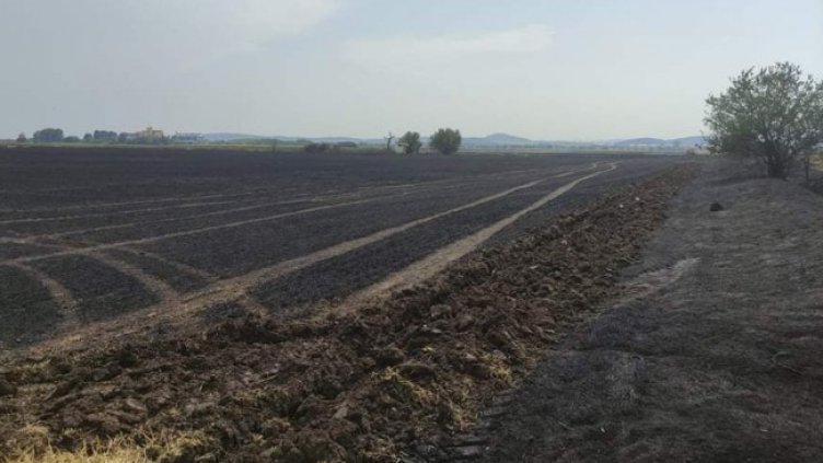 Снимка БГНЕС