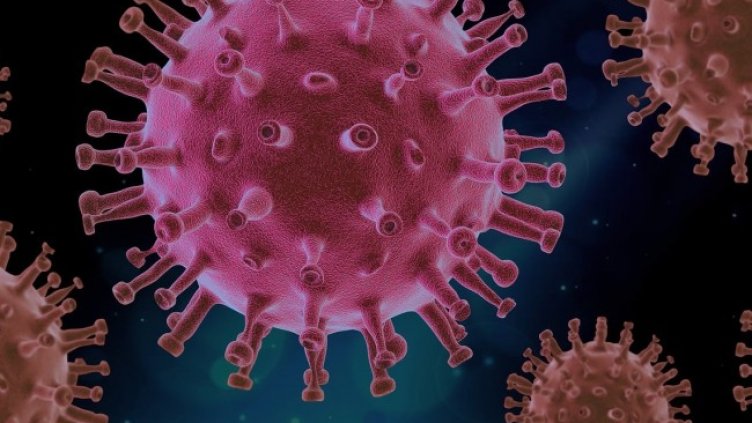 Снимка: Pixabay