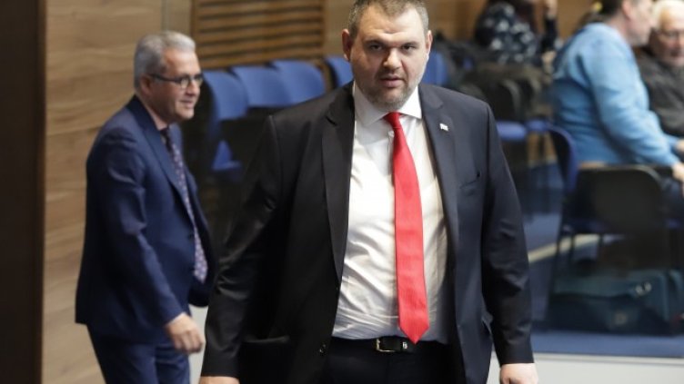 Снимка: БГНЕС