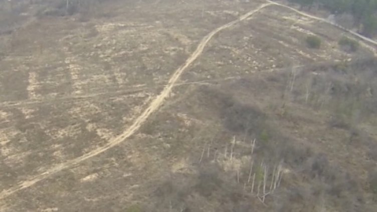 Снимка БГНЕС, архив