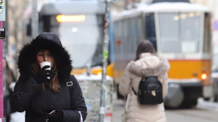 Снимка: БГНЕС