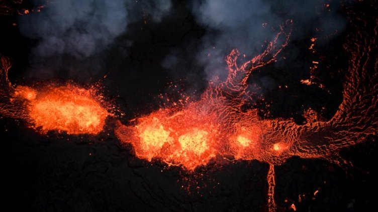 Снимка: БГНЕС, архив