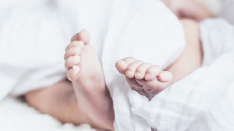 Снимка: Pixabay