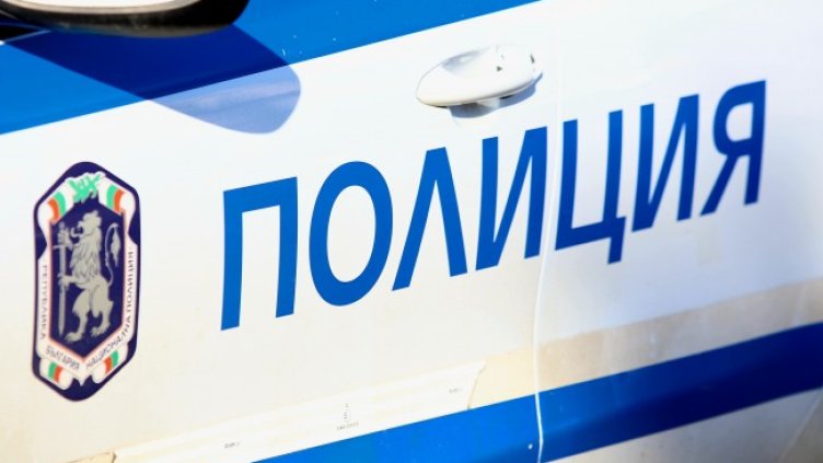 Снимка: архив, БГНЕС