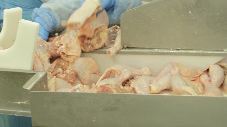 Снимка: архив, БГНЕС