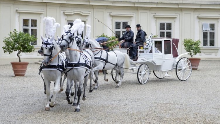 Снимка: архив, БГНЕС