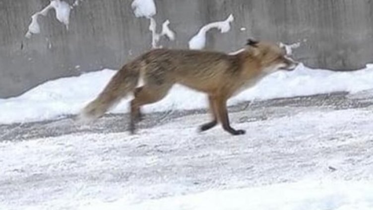 Снимка Фейсбук