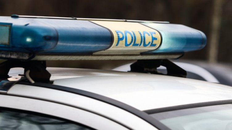 Снимка: архив, БГНЕС