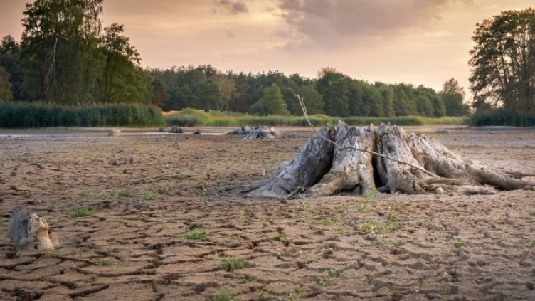 Снимка: Pixabay