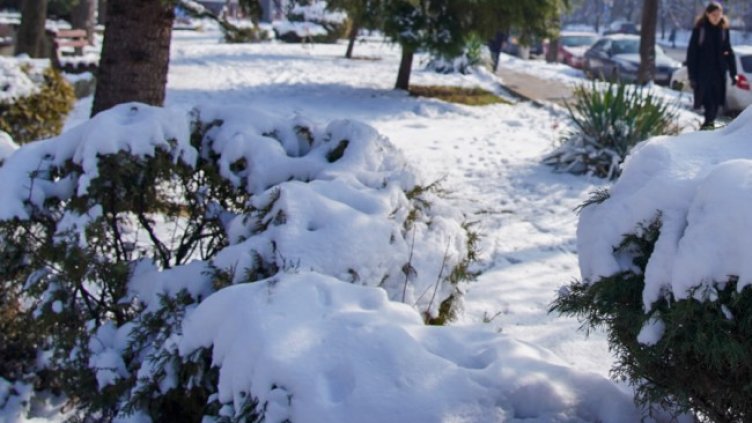 Снимка БГНЕС, архив