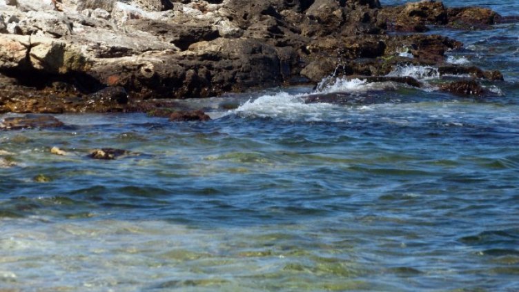 Снимка БГНЕС, архив