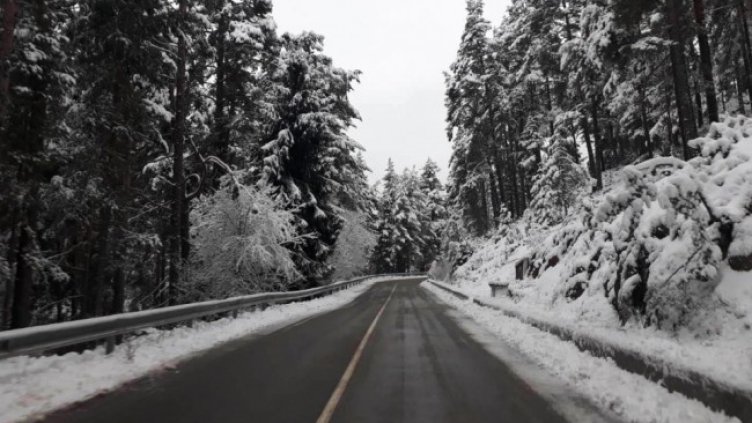 Снимка: АПИ