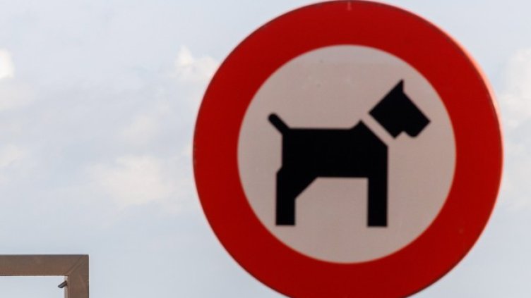 Снимка: архив, БГНЕС