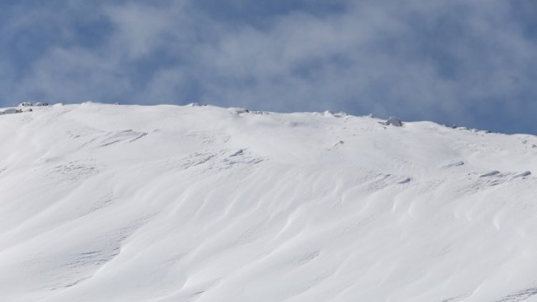 Снимка: архив, БГНЕС