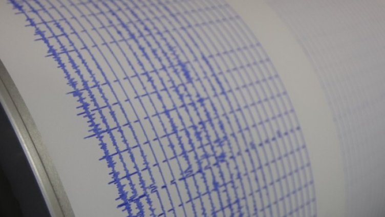 Снимка: архив, БГНЕС