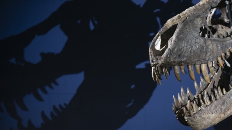 Снимка БГНЕС