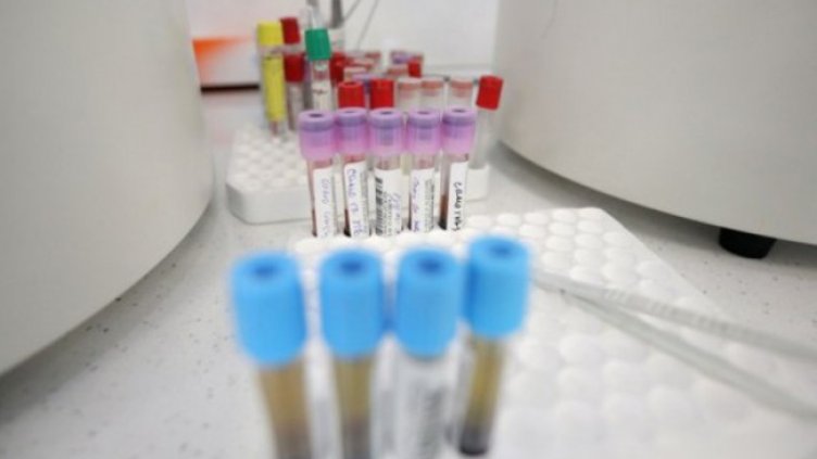 Снимка: Димитър Кьосемарлиев