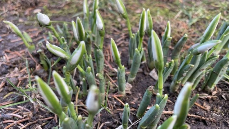 Снимка: Bulgaria ON AIR