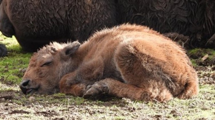 Снимка Фейсбук