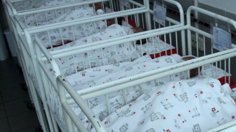 Снимка: архив, БГНЕС