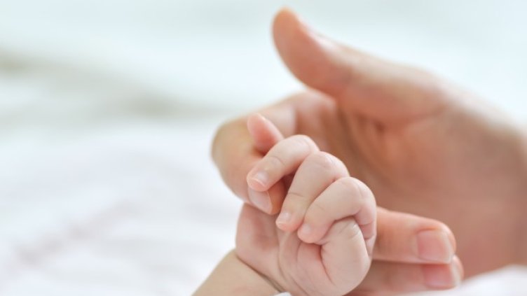 Снимка: Pixabay