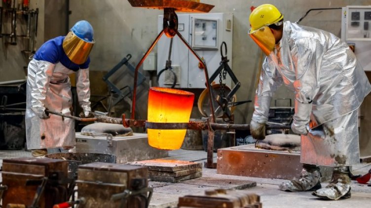 Снимка БГНЕС