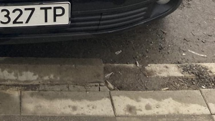 Снимка БГНЕС, архив