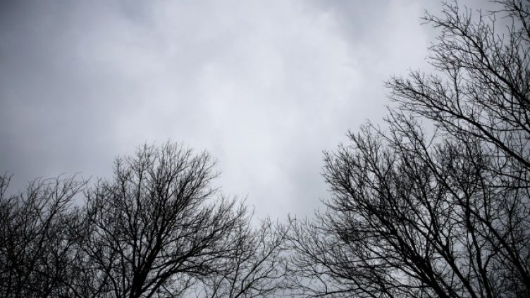 Снимка: архив, БГНЕС