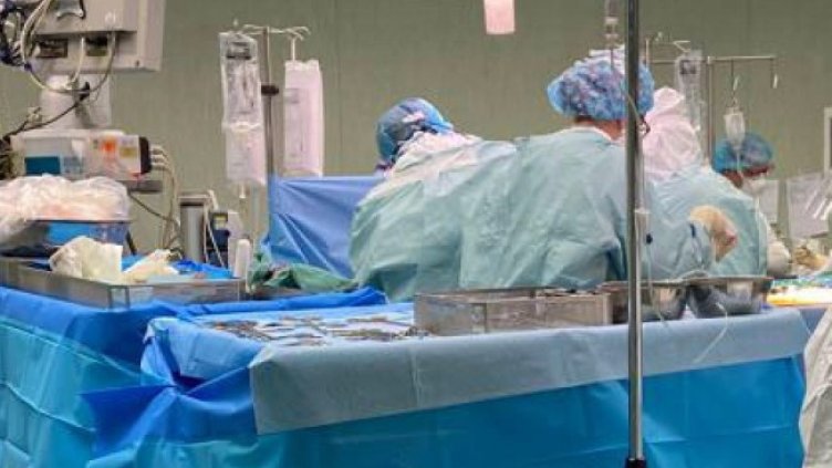 Снимка: архив, БГНЕС