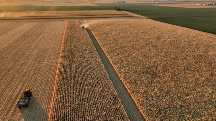 Снимка: архив, БГНЕС