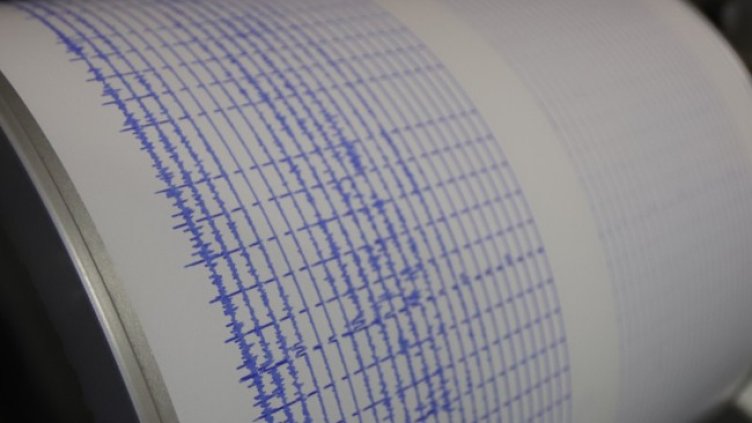 Снимка: архив, БГНЕС