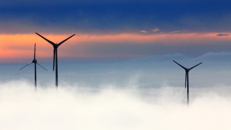 Снимка: Pixabay