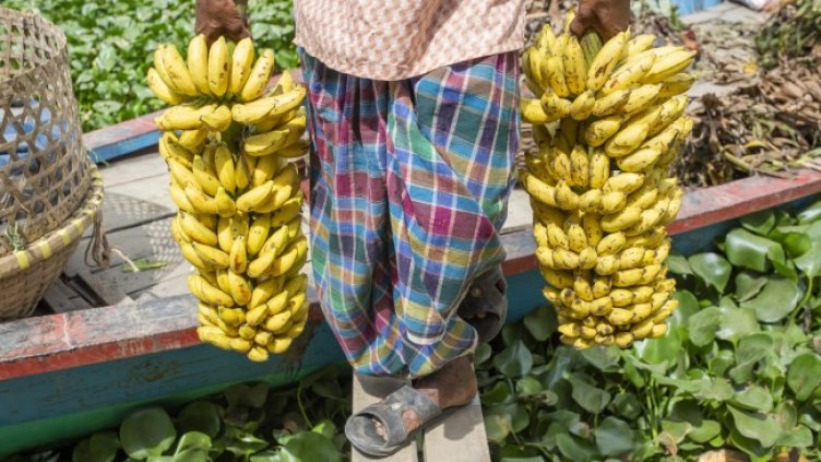 Снимка: архив, БГНЕС