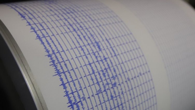 Снимка: архив, БГНЕС