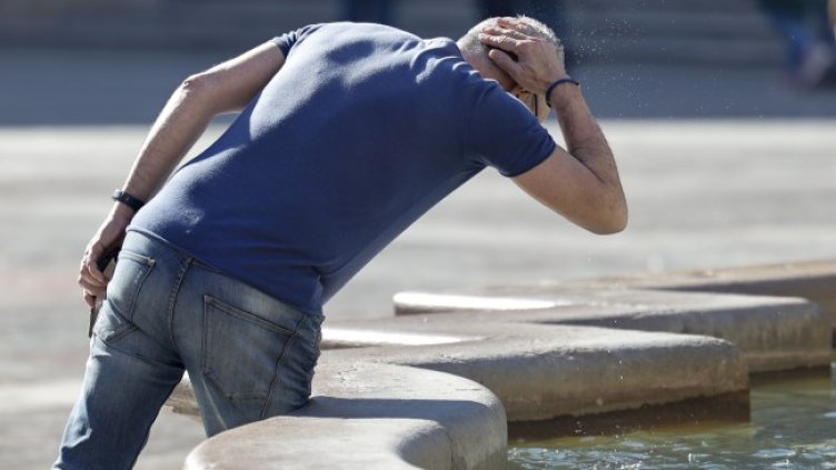 Снимка: архив, БГНЕС