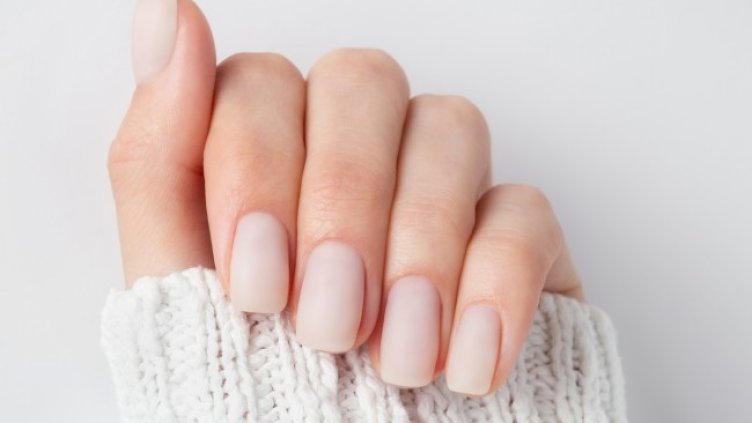 Снимка: iStock