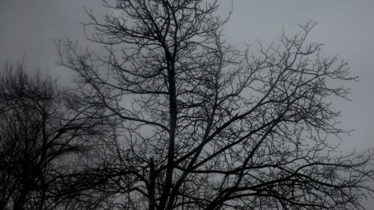 Снимка: архив, БГНЕС