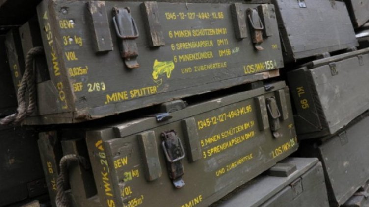 Снимка: архив, БГНЕС