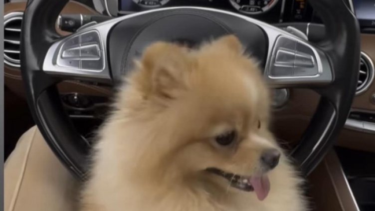 Кадър: Instagram